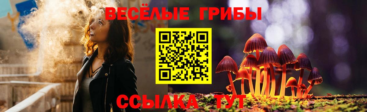 Петрозаводск  Галлюциногенные грибы Psilocybe  Вход с VPN 